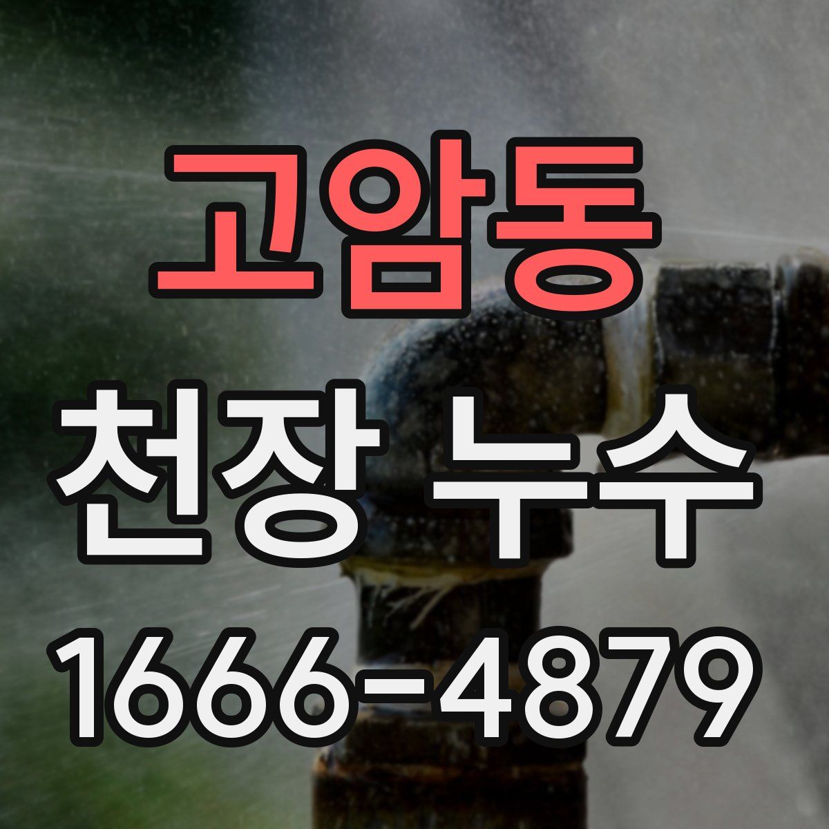 고암동 천장 누수