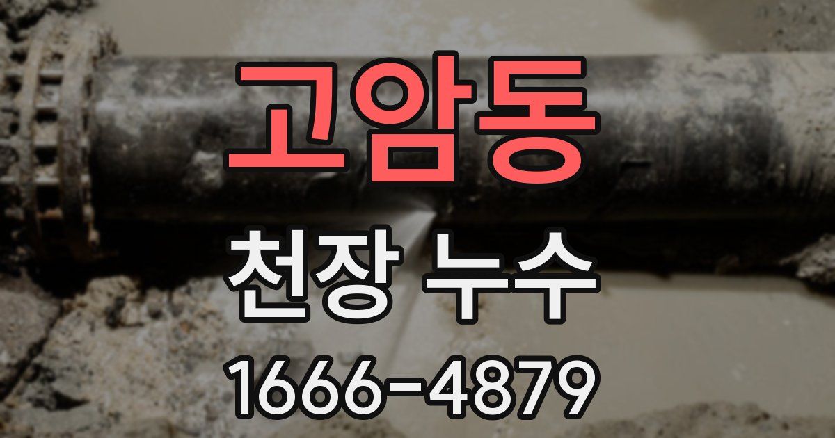고암동 천장 누수