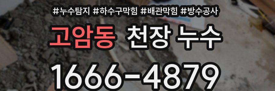 고암동 천장 누수