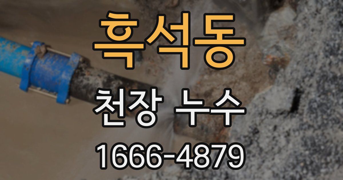 흑석동 천장 누수
