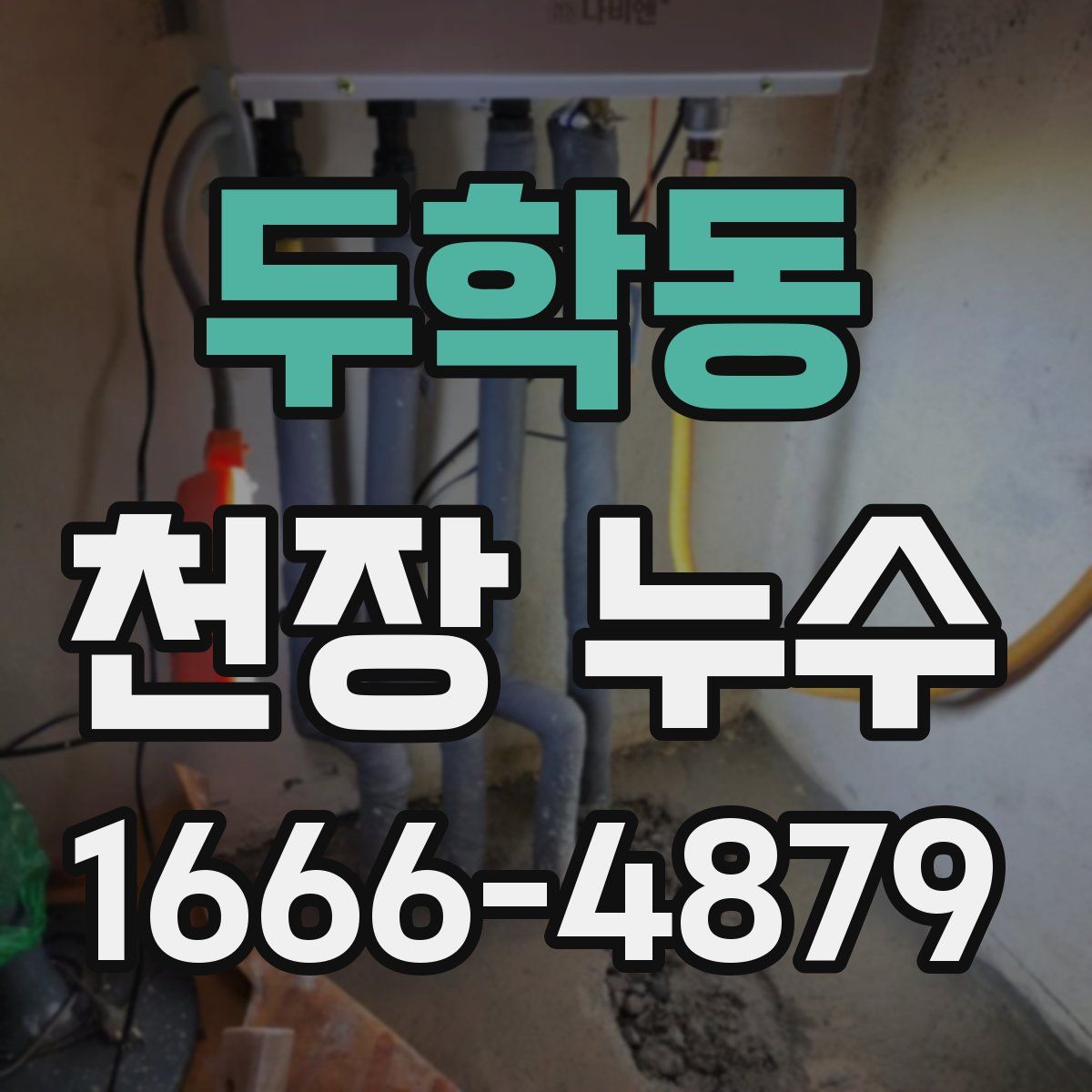 두학동 천장 누수
