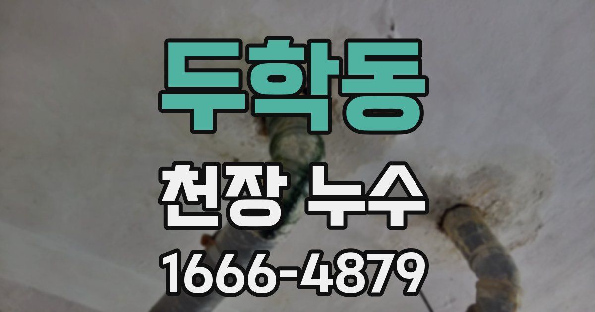 두학동 천장 누수