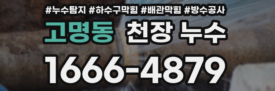 고명동 천장 누수