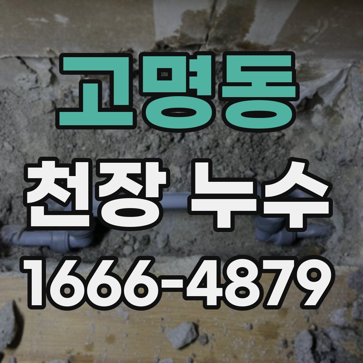 고명동 천장 누수