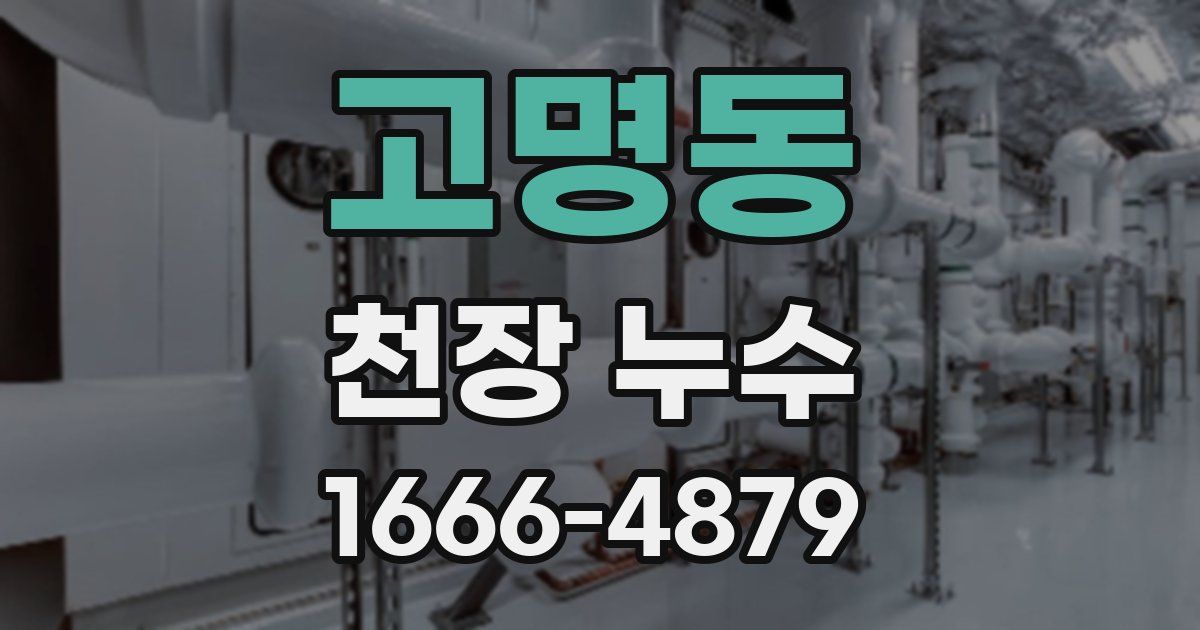 고명동 천장 누수