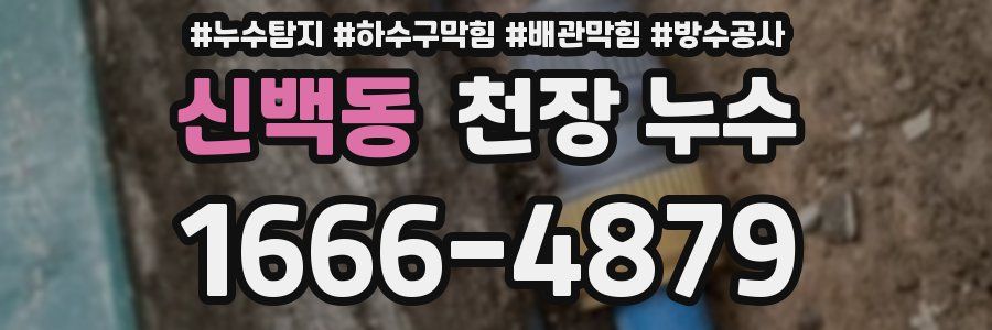 신백동 천장 누수