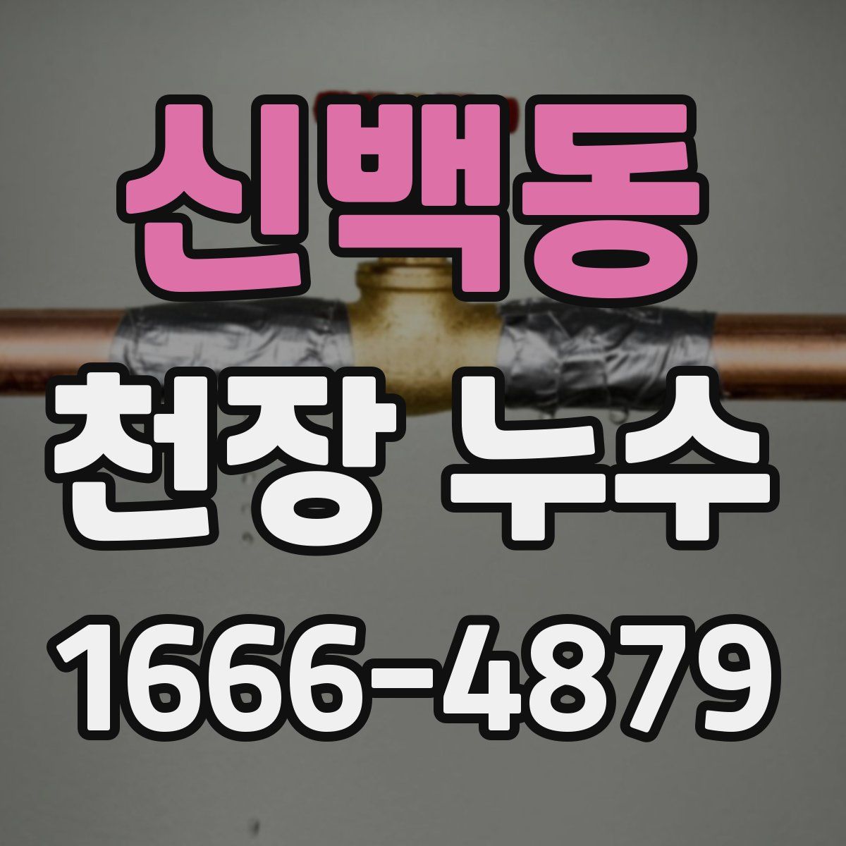 신백동 천장 누수