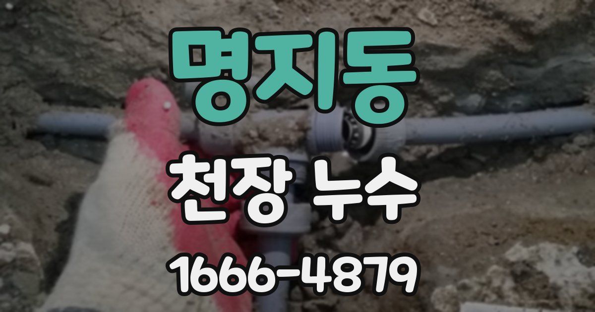 명지동 천장 누수