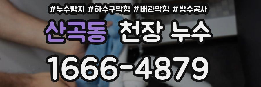 산곡동 천장 누수