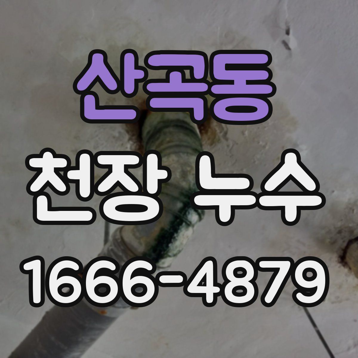 산곡동 천장 누수