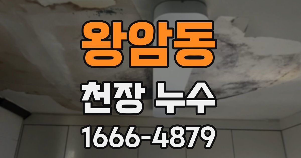 왕암동 천장 누수