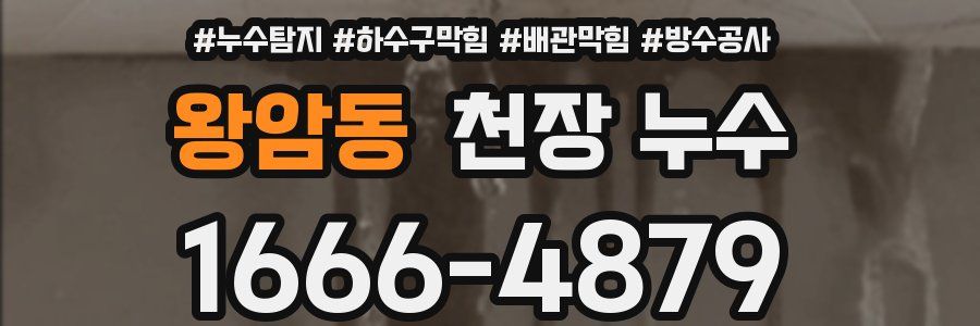 왕암동 천장 누수