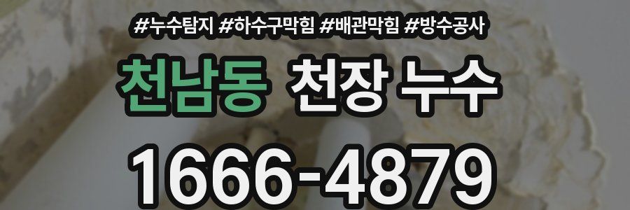 천남동 천장 누수
