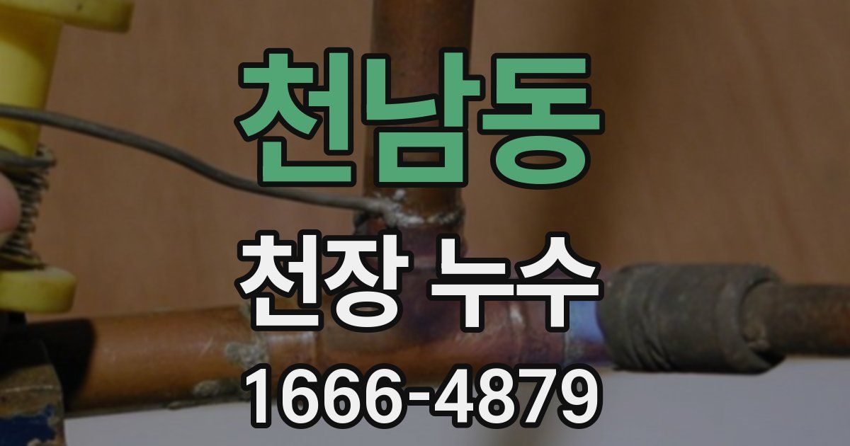 천남동 천장 누수
