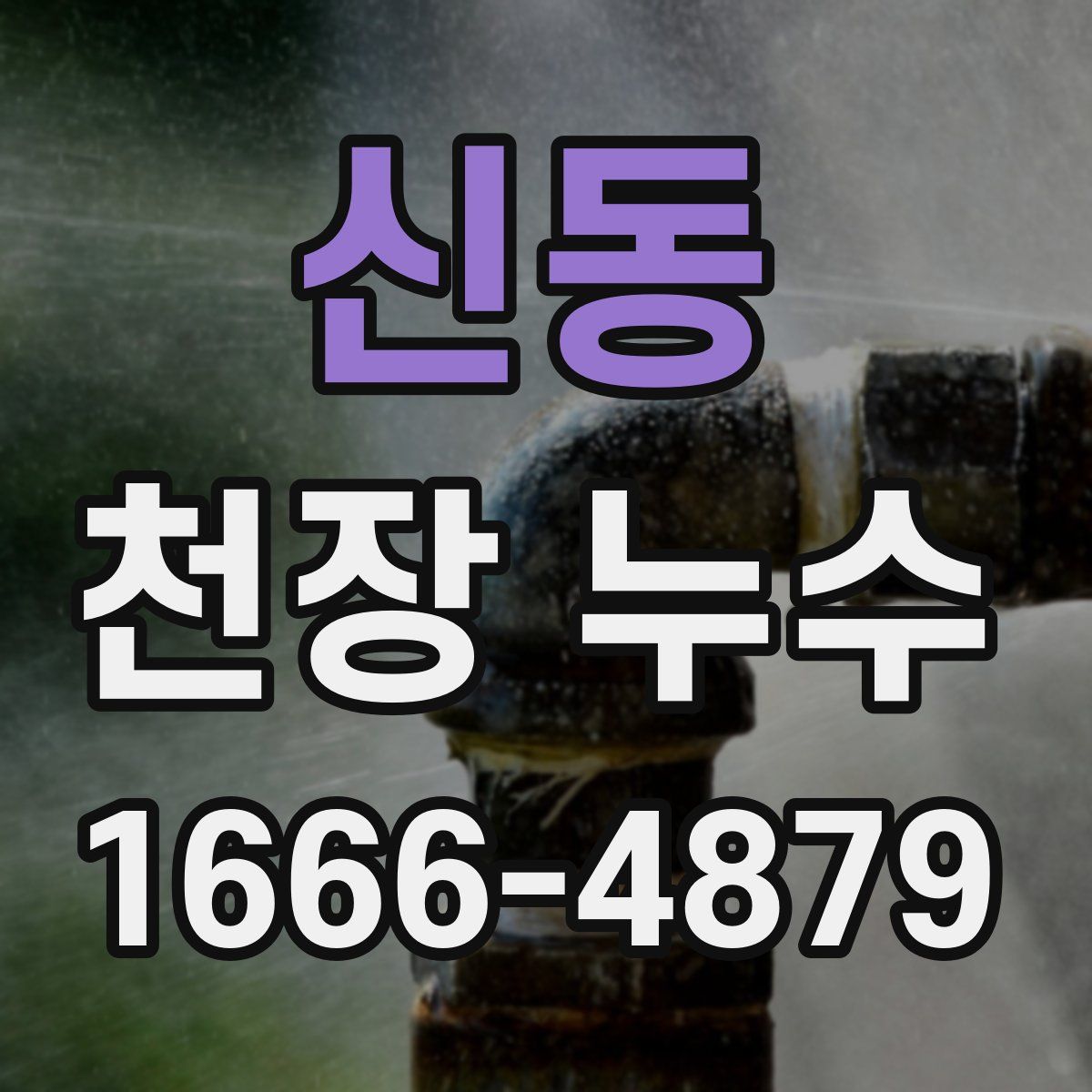 신동 천장 누수
