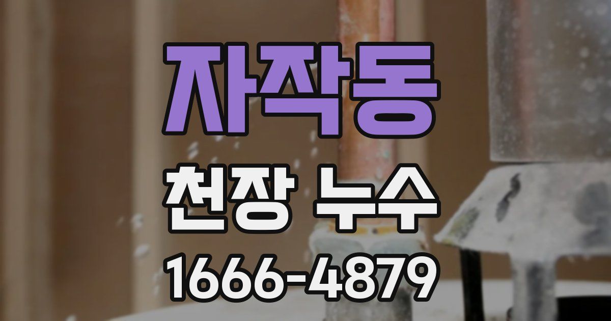 자작동 천장 누수