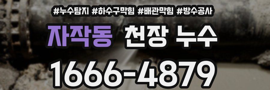자작동 천장 누수
