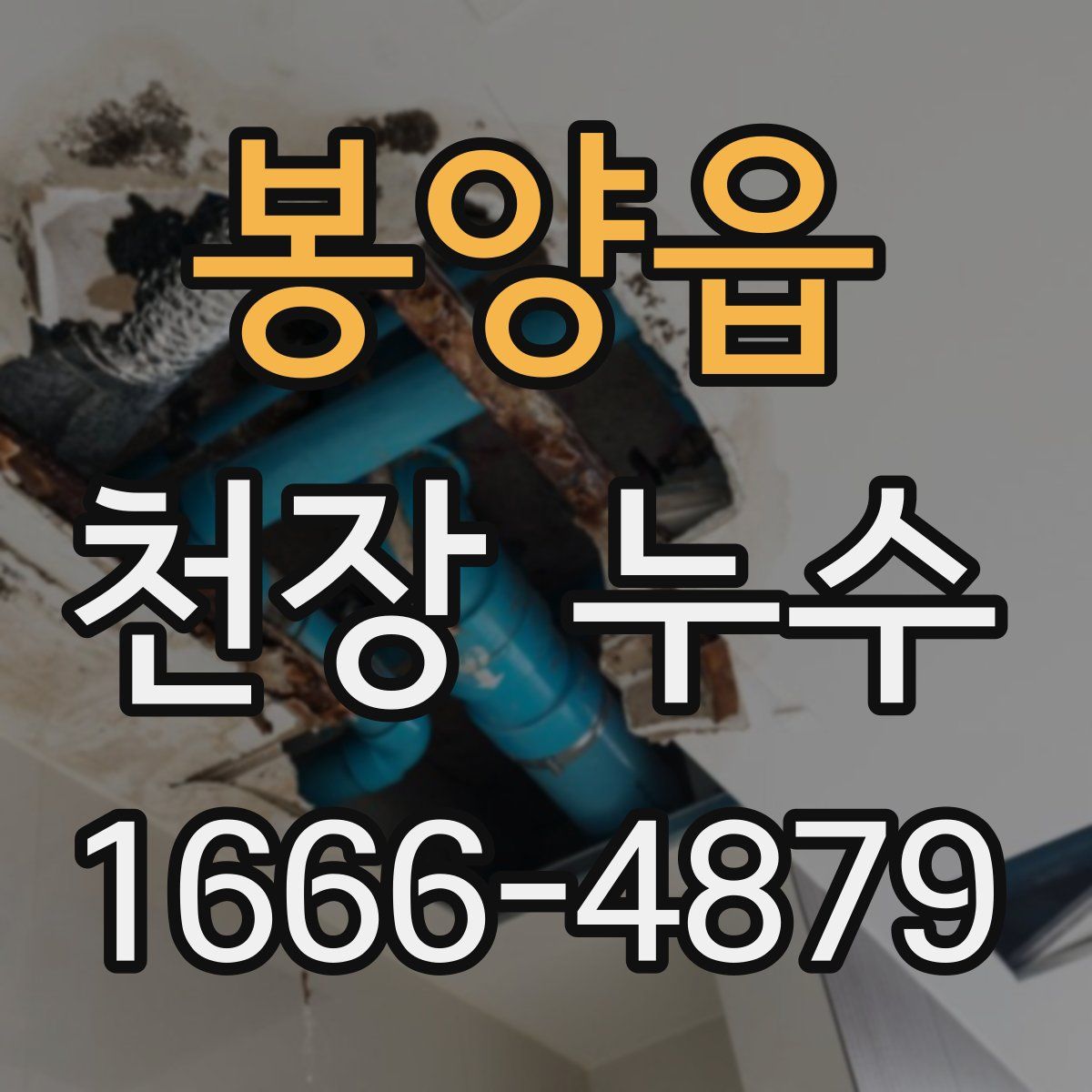 봉양읍 천장 누수