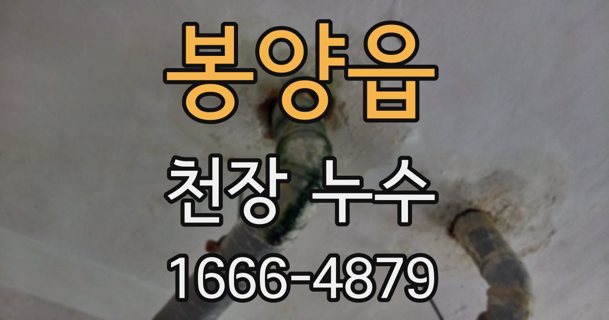 봉양읍 천장 누수