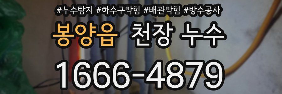 봉양읍 천장 누수