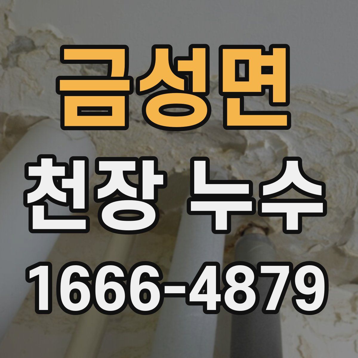 금성면 천장 누수
