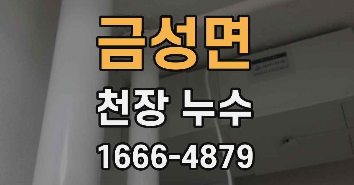 금성면 천장 누수