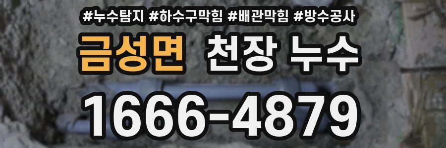 금성면 천장 누수