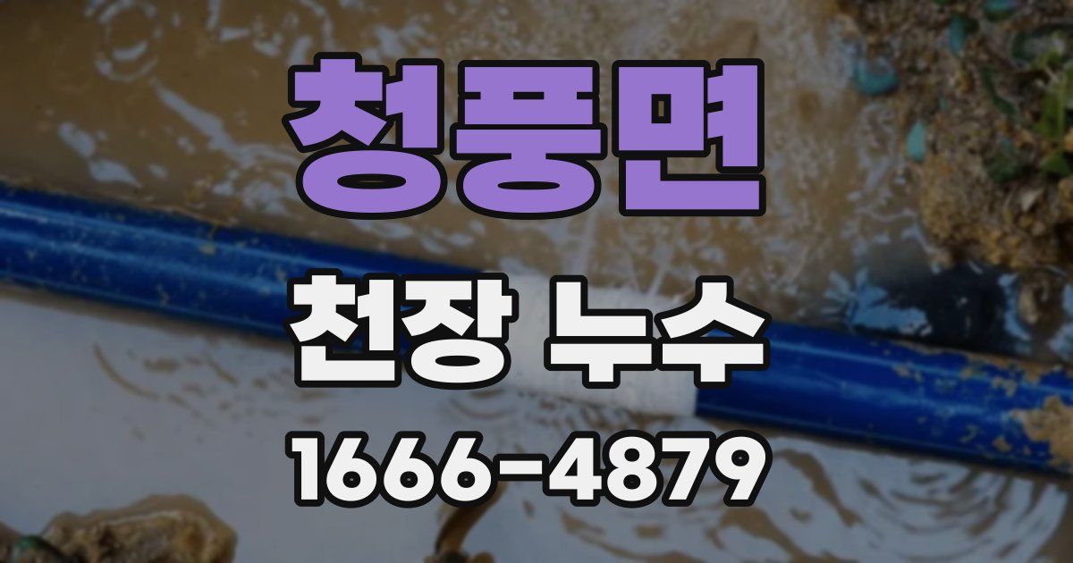 청풍면 천장 누수