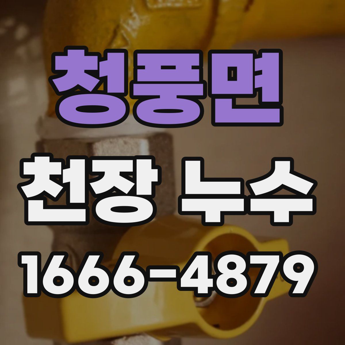 청풍면 천장 누수