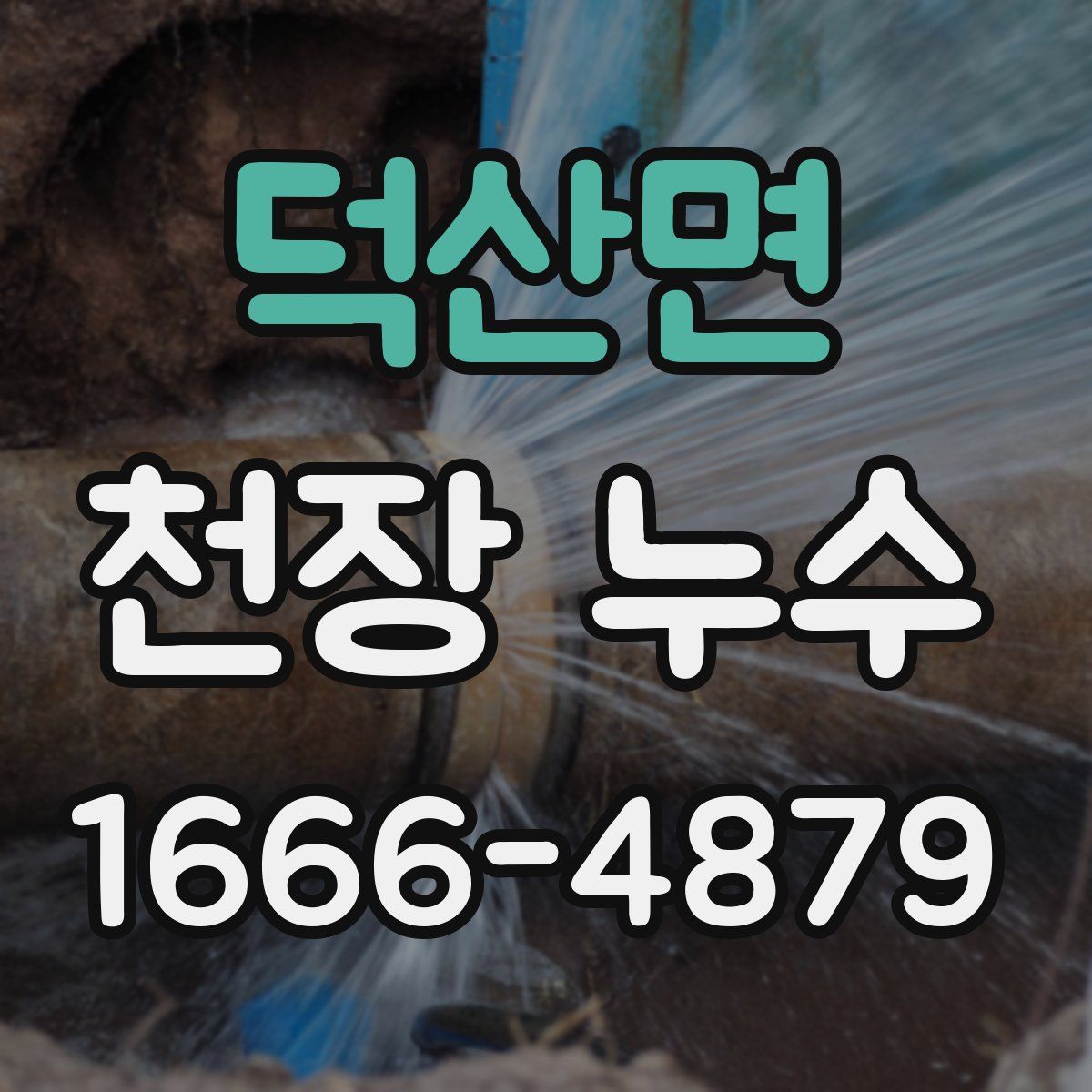 덕산면 천장 누수