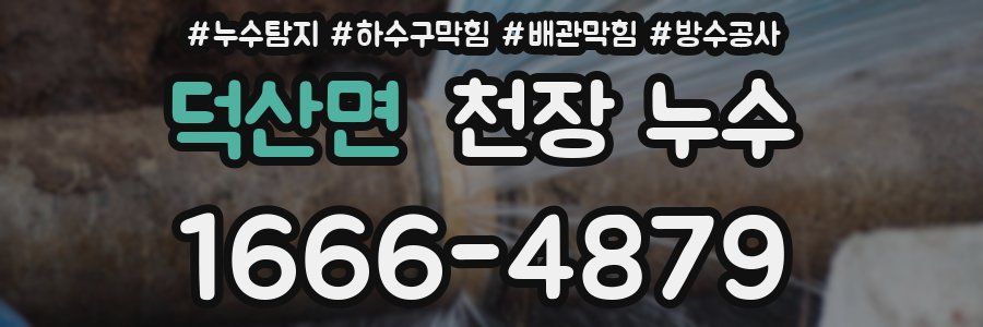 덕산면 천장 누수