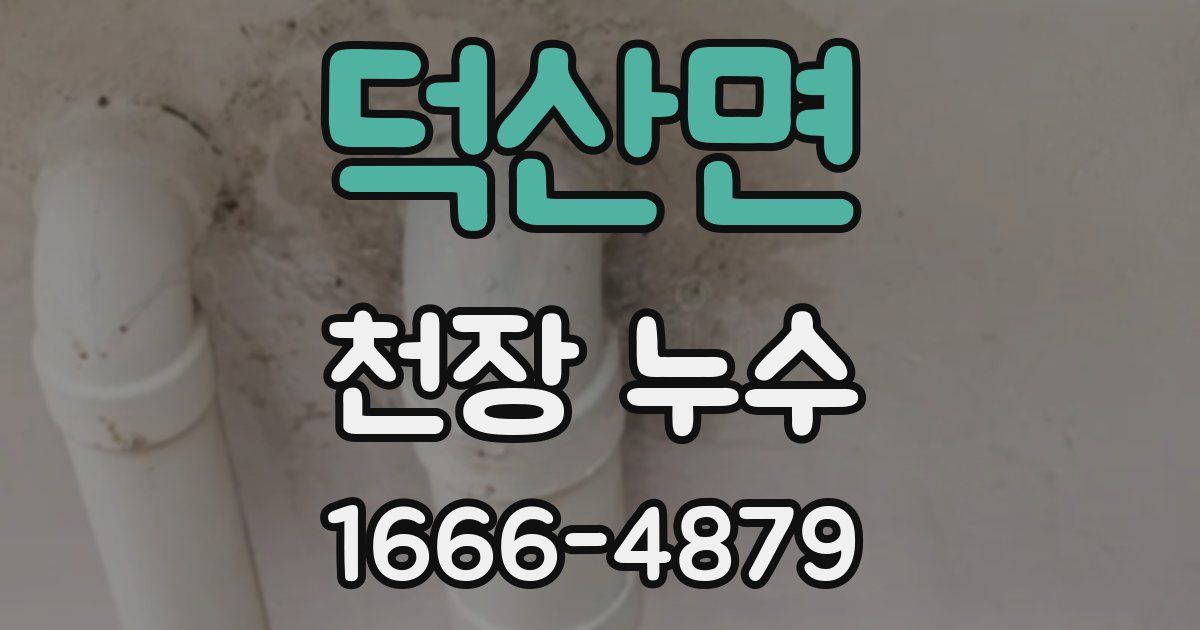 덕산면 천장 누수