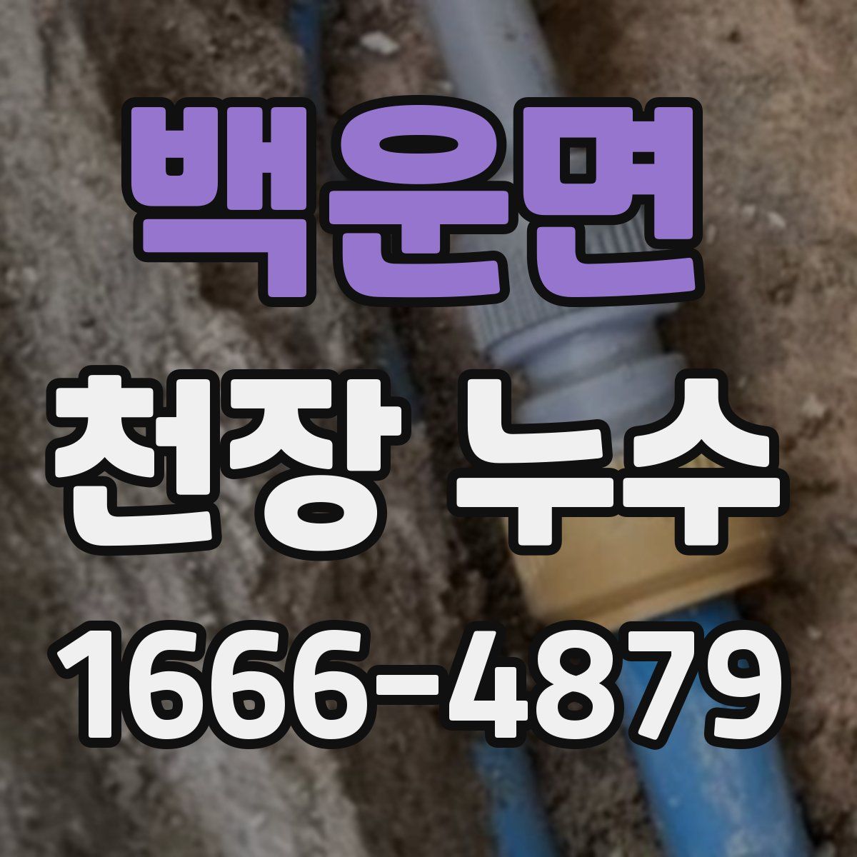 백운면 천장 누수