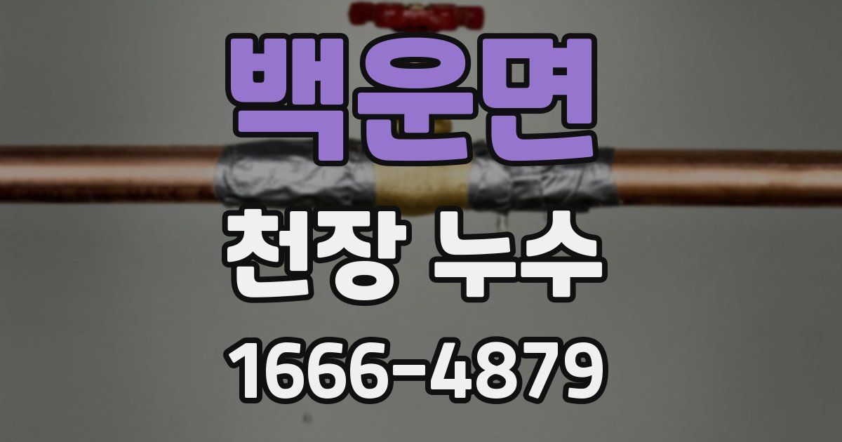 백운면 천장 누수