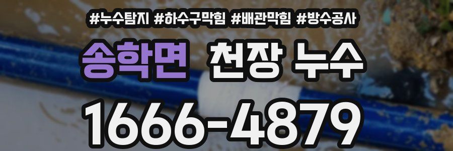 송학면 천장 누수