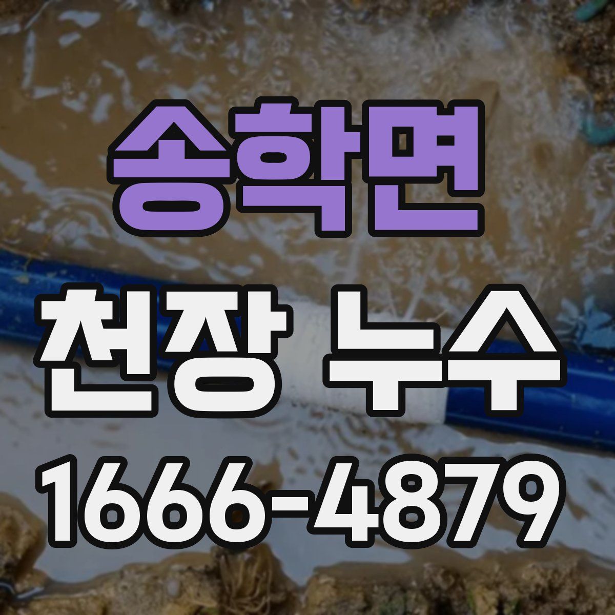 송학면 천장 누수