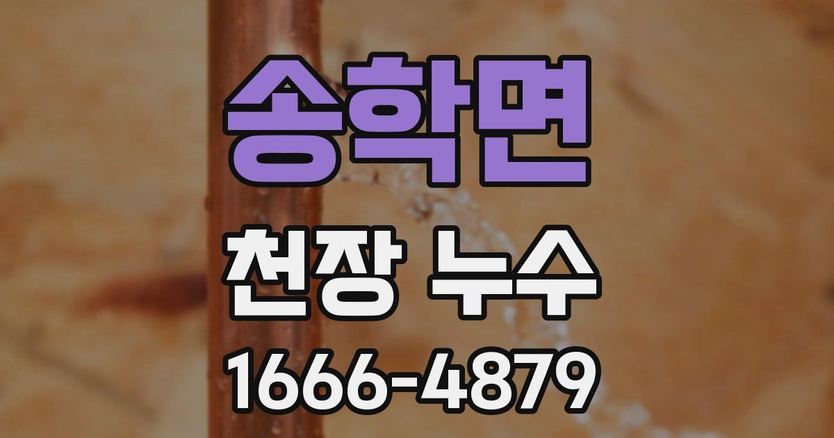 송학면 천장 누수