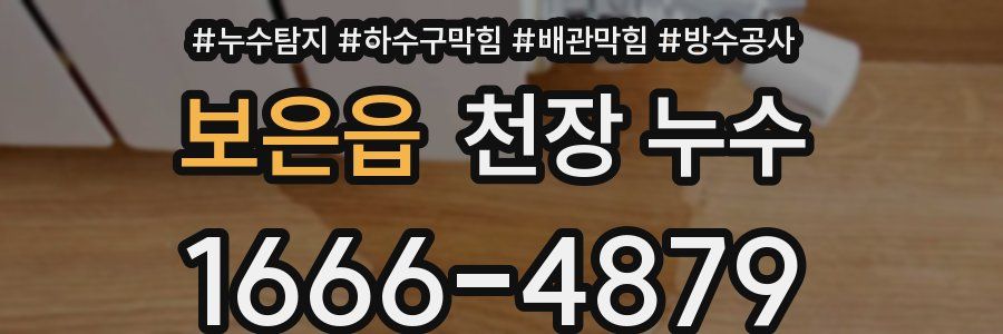 보은읍 천장 누수