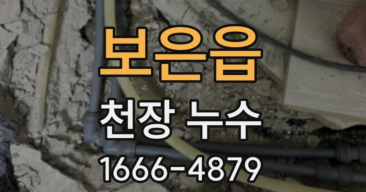 보은읍 천장 누수