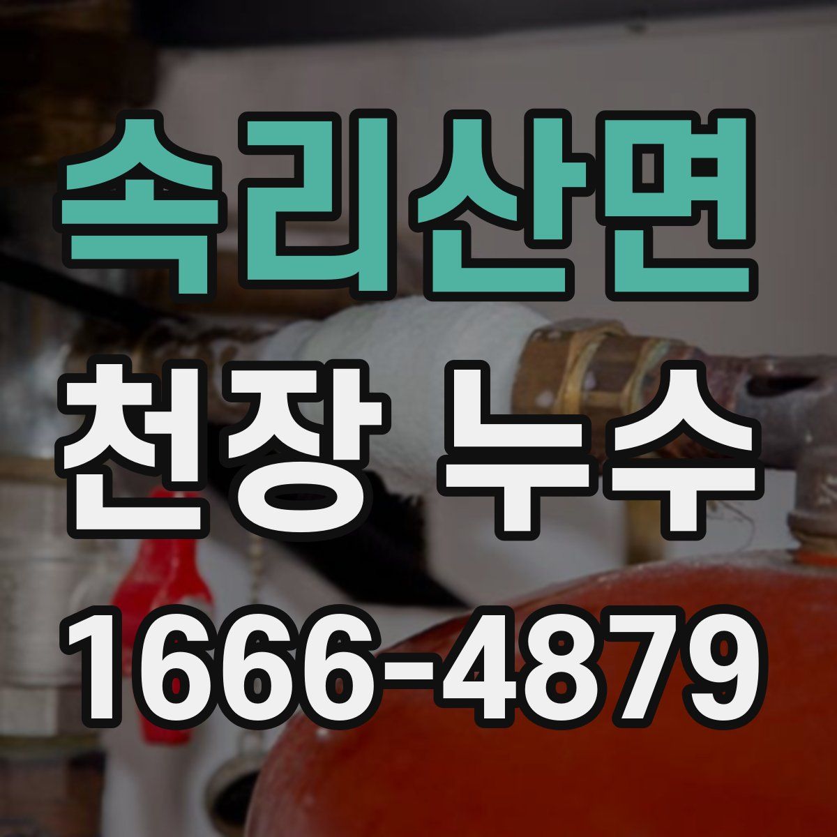 속리산면 천장 누수
