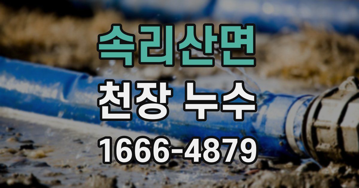 속리산면 천장 누수