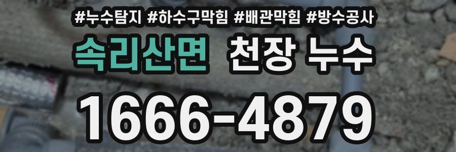 속리산면 천장 누수