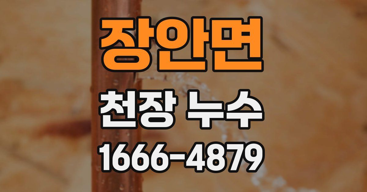 장안면 천장 누수