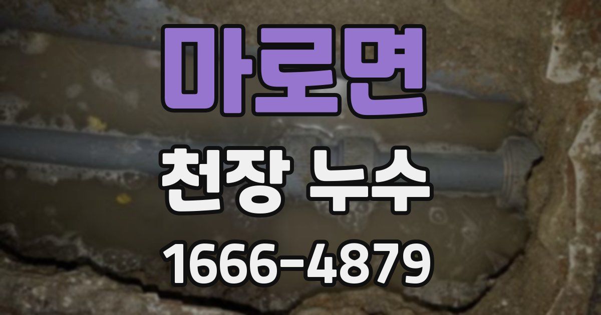 마로면 천장 누수