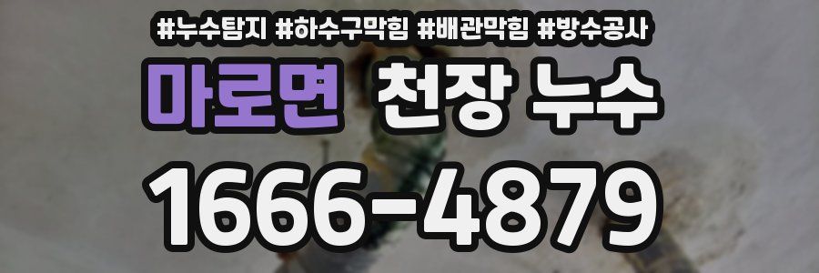 마로면 천장 누수