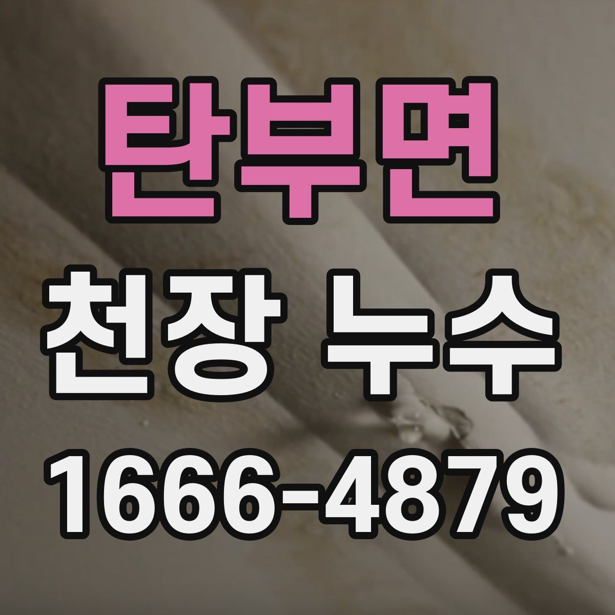 탄부면 천장 누수