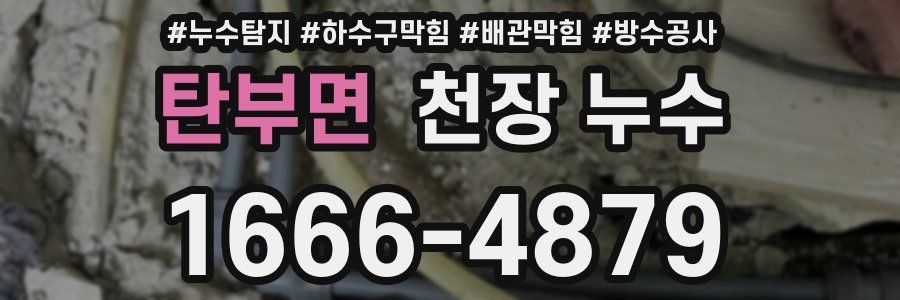 탄부면 천장 누수