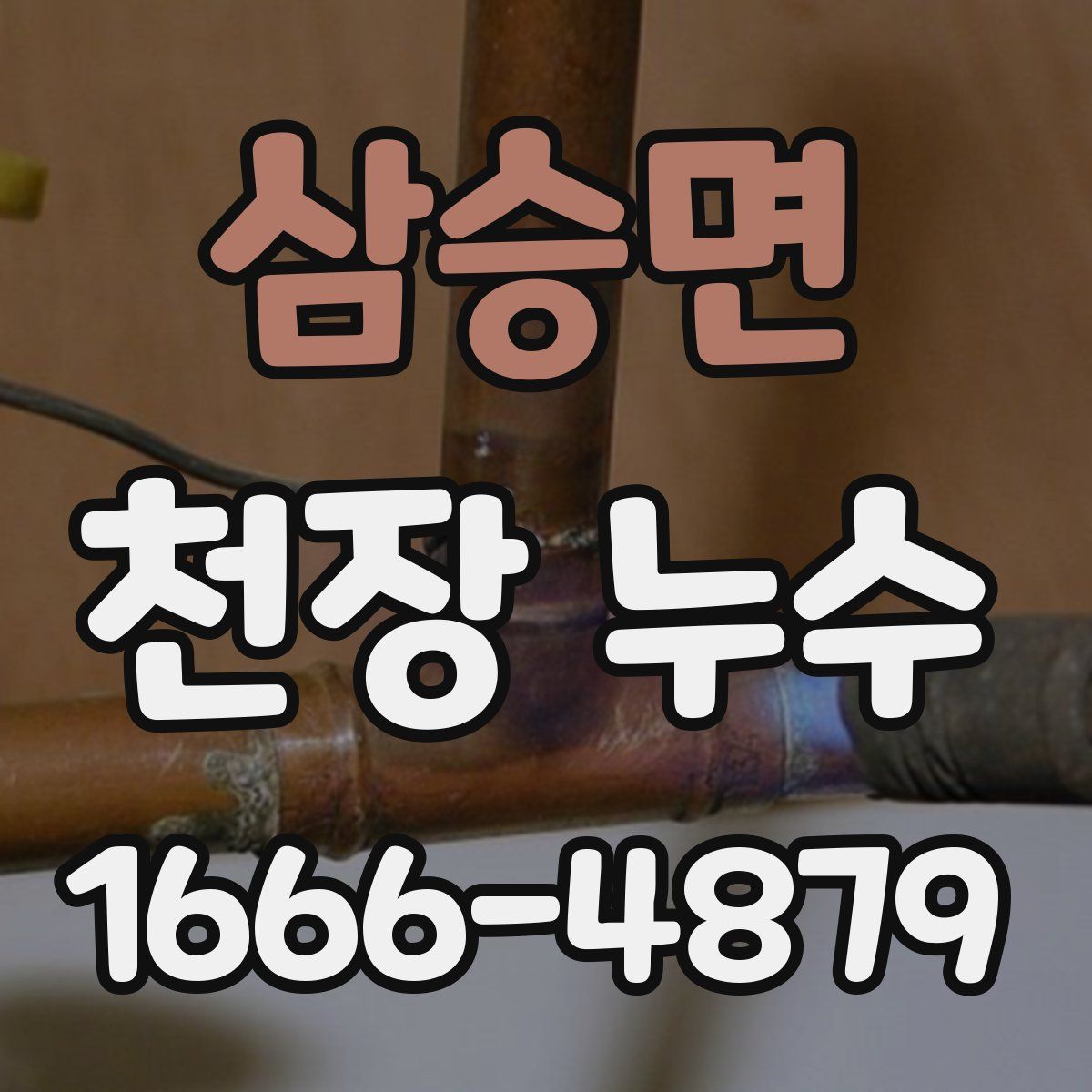 삼승면 천장 누수