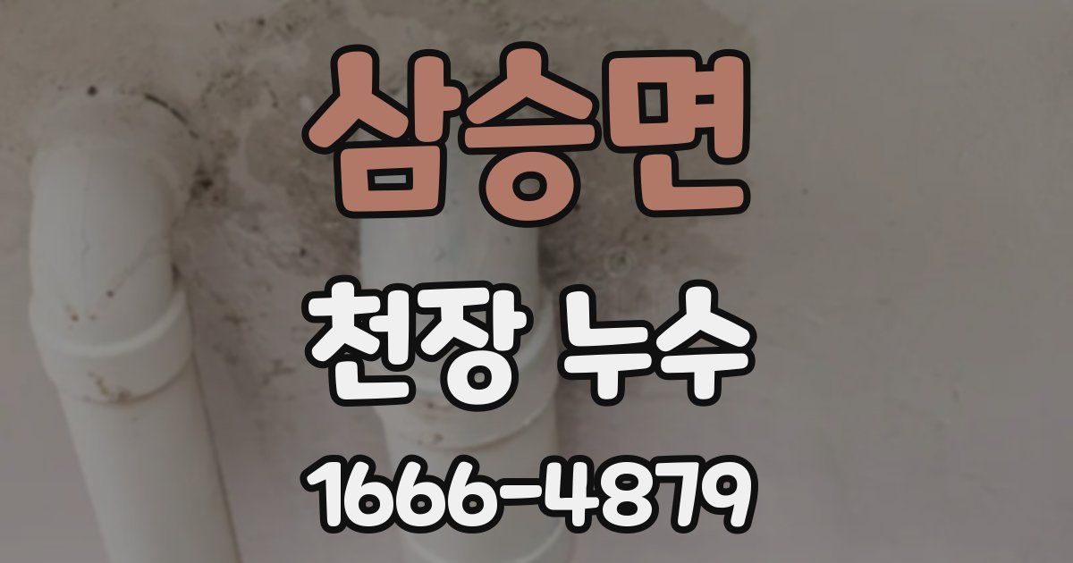 삼승면 천장 누수