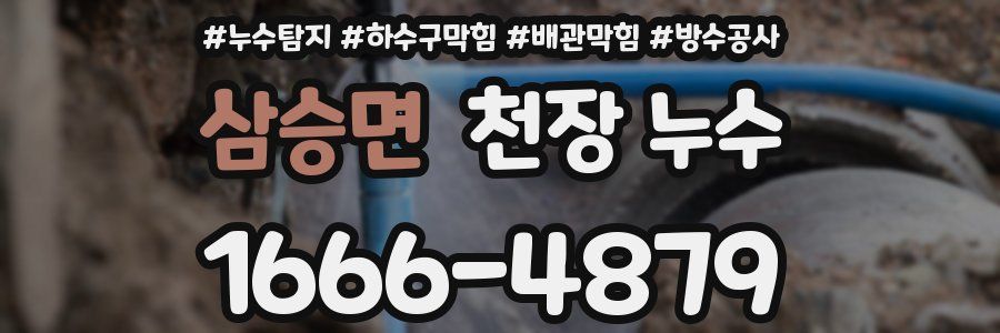 삼승면 천장 누수